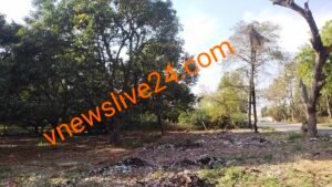 कायमगंज - कंपिल रोड ग्राम जिजपुरा के पास बाग में हो रही अवैध प्लाटिंग
