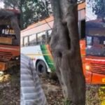 एटा से आ रही रोडवेज बस पेड़ से टकराई, उड़े परखच्चे और मची चीख-पुकार, कई यात्री घायल