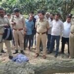 लापता युवक का शव पेड़ से लटका मिला,सिक्योरिटी गार्ड की नौकरी करता था, बस का टिकट और पैसे बरामद