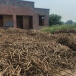 स्वास्थ्य विभाग की अनदेखी – अहमदगंज में उप स्वास्थ्य केन्द्र पर दबंगों का अवैध कब्जा, भूसा-लकड़ी का बना गोदाम