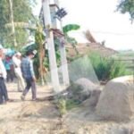 बिजली पोल में करंट से गर्भवती भैंस की मौत