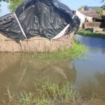 सुल्तानगंज खरेटा में बाढ़ का कहर गांव से बाहर निकलने वाले मार्ग पर लगभग डेढ़ फीट पानी तेज धार में बह रहा आवा गमन में हो रही परेशानी