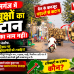 हरे पेड़ों पर आरा, लकड़ी माफिया बेखौफ!